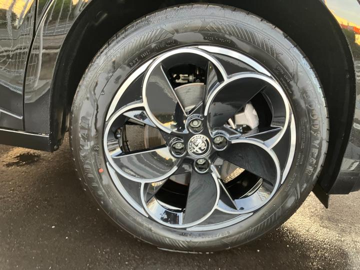 JUNIOR Ibrida PREMIUM