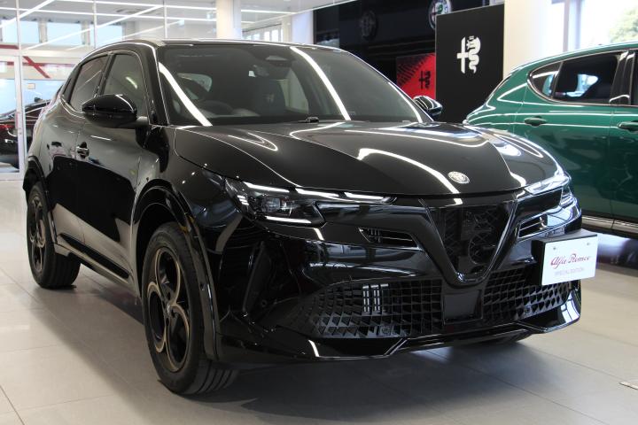 JUNIOR Ibrida INTENSA