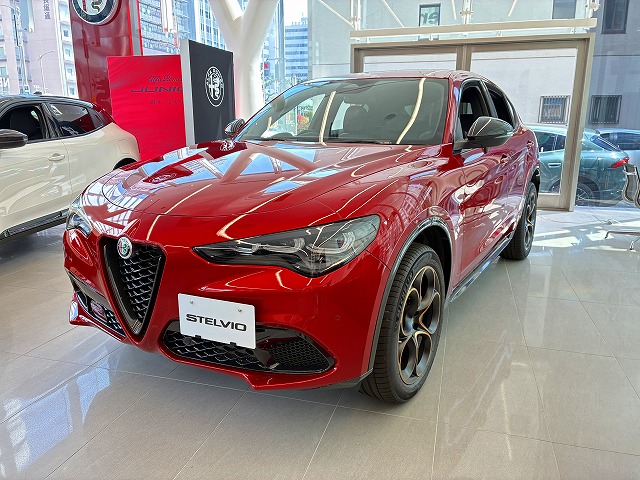 STELVIO 2.0 TURBO Q4 INTENSA