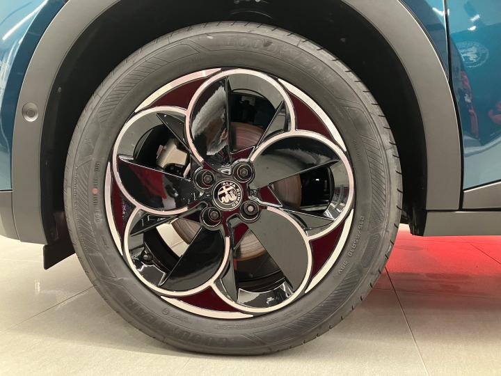 JUNIOR Ibrida SPECIALE