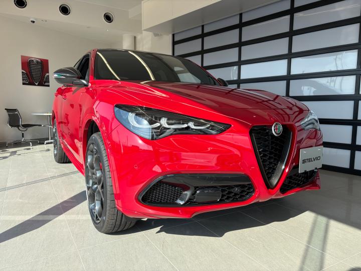 STELVIO TRIBUTO ITALIANO