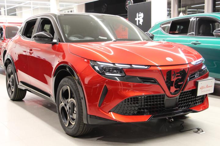 JUNIOR Ibrida INTENSA