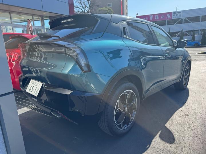 JUNIOR Ibrida PREMIUM