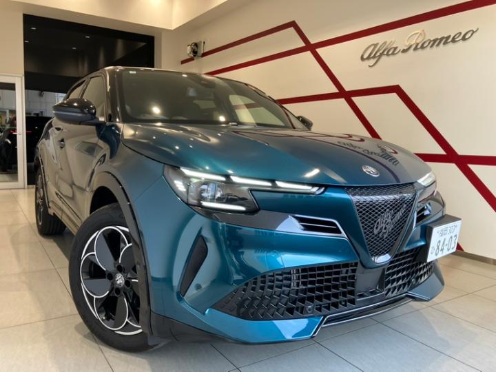 JUNIOR Ibrida PREMIUM