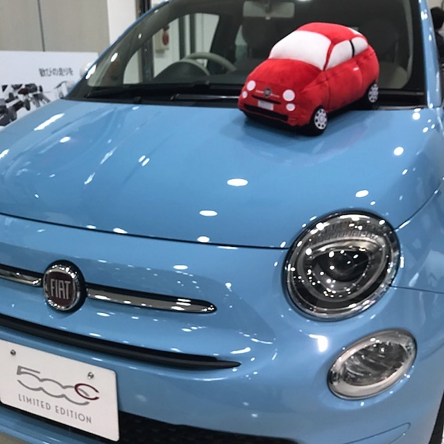 入荷  FIAT 500 ぬいぐるみ /｜フィアット福岡スタッフブログ｜FIAT