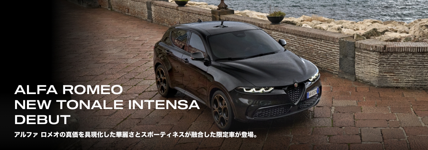 【近日削除】Alfa Romeo（アルファロメオ）ダウンベスト　カシミア 近日削除】Alfa Romeo（アルファロメオ）ダウンベスト カシミア 近日