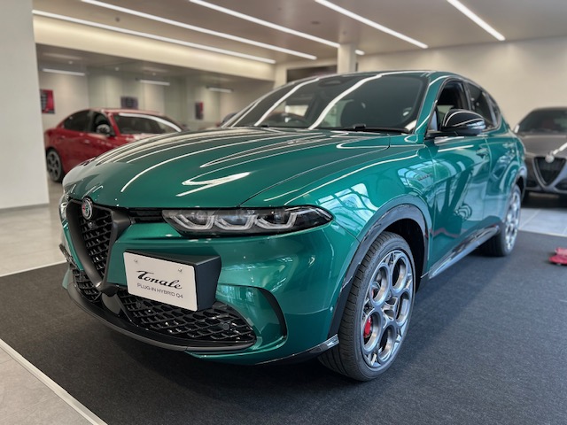 TONALEモントリオールグリーンカラーが入庫いたしました💚｜アルファ