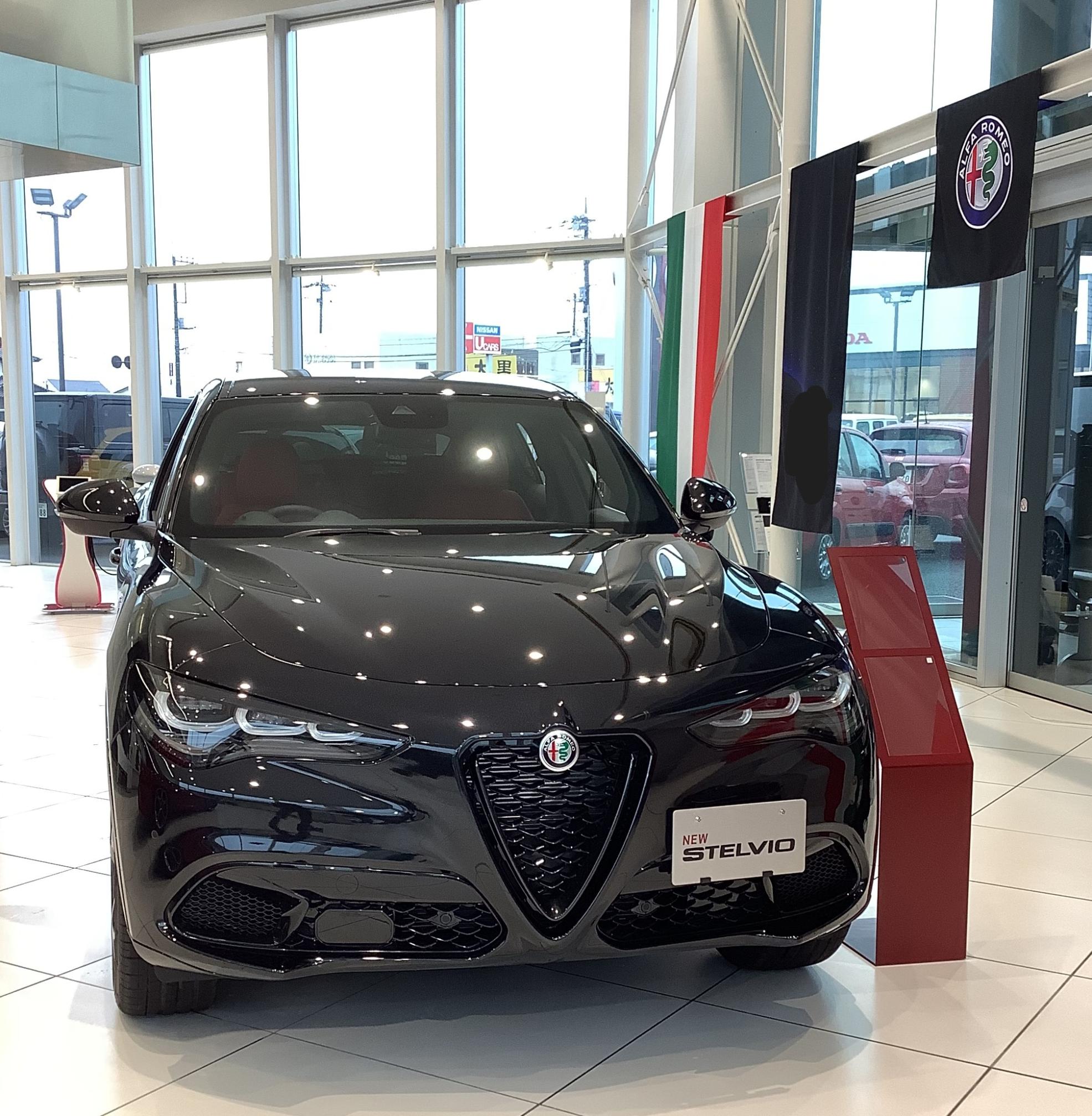 STELVIO 2.0 TURBO Q4 VELOCE