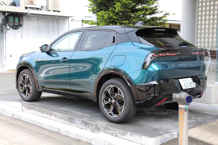 JUNIOR Ibrida PREMIUM