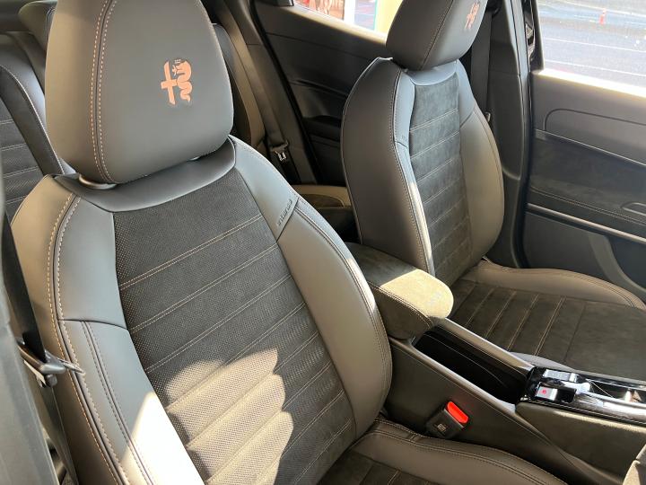 JUNIOR Ibrida INTENSA