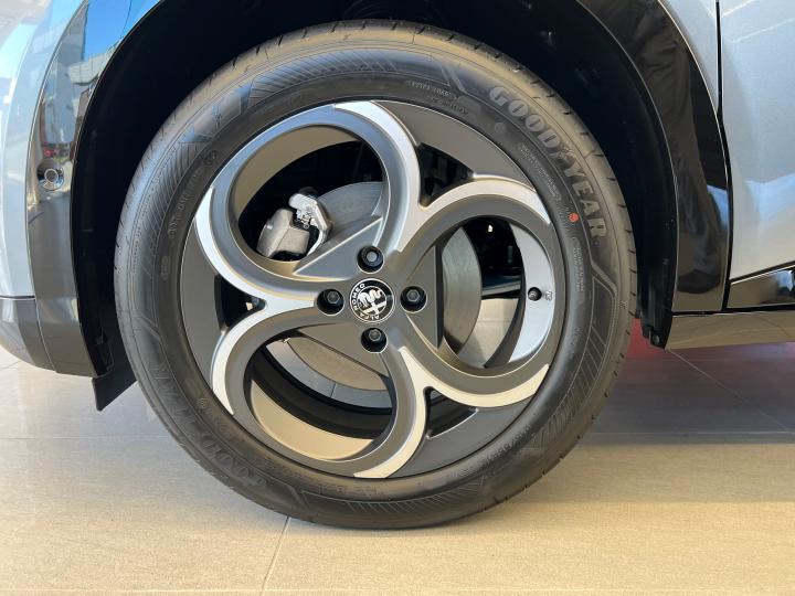 JUNIOR Ibrida SPORT SPECIALE