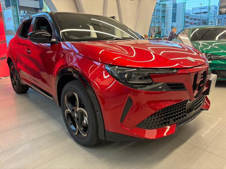 JUNIOR Ibrida INTENSA