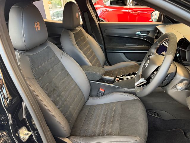 JUNIOR Ibrida INTENSA