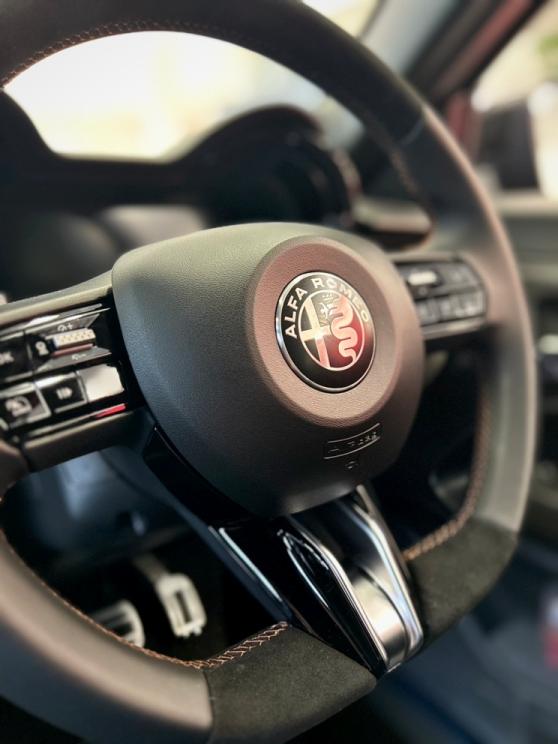 JUNIOR Ibrida INTENSA