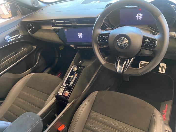 JUNIOR Ibrida INTENSA