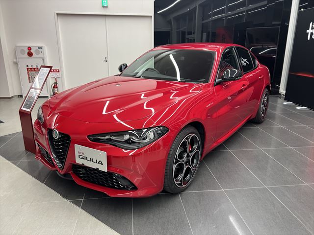 ALFA ROMEO フロントグリル レッド　アルファロメオ インテリア アルファ ロメオのフロントグリルは特徴的(^^)/｜アルファ