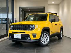 Renegade Altitude e-Hybrid