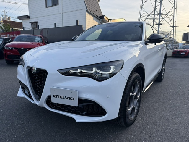 STELVIO 2.0 TURBO Q4 SPRINT