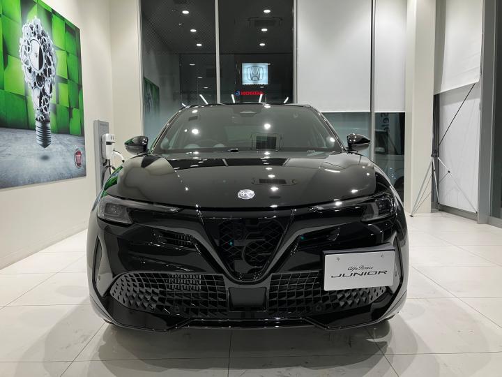 JUNIOR Ibrida INTENSA