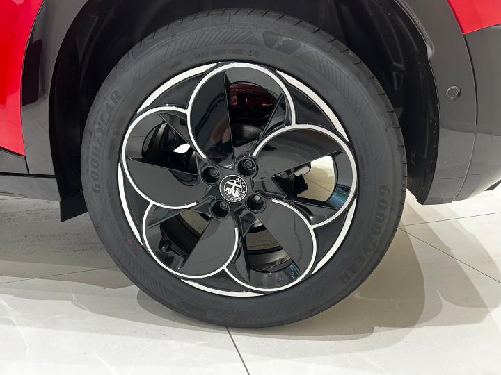 JUNIOR Ibrida PREMIUM