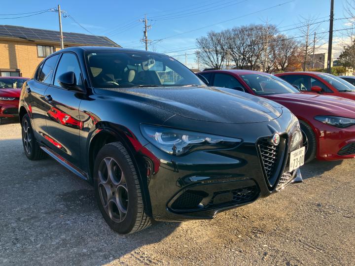 STELVIO 2.0 TURBO Q4 INTENSA