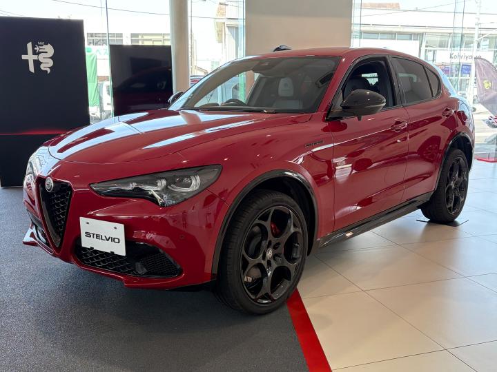 STELVIO 2.0 TURBO Q4 COMPETIZIONE