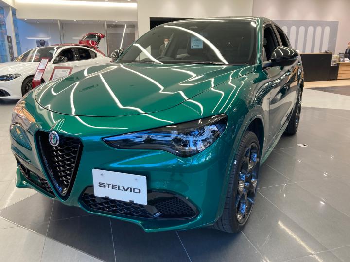 STELVIO TRIBUTO ITALIANO