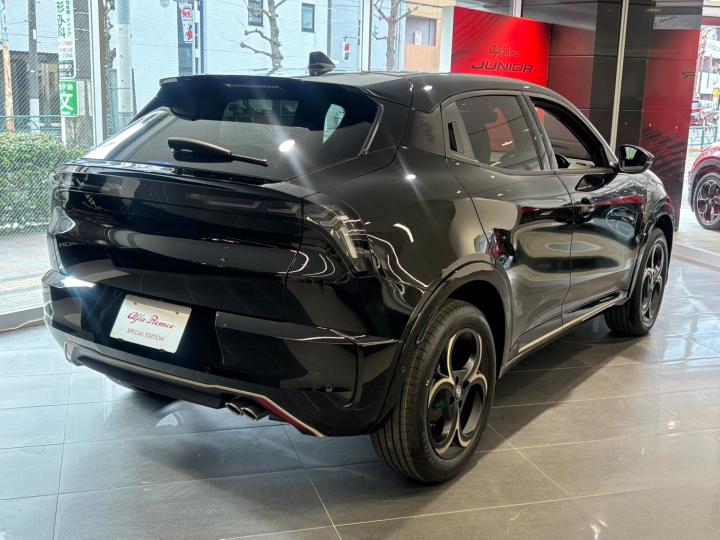 JUNIOR Ibrida INTENSA