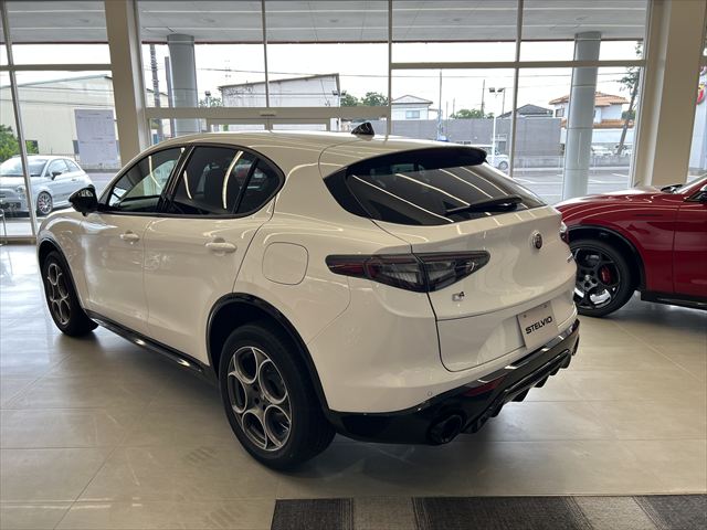 STELVIO 2.0 TURBO Q4 SPRINT