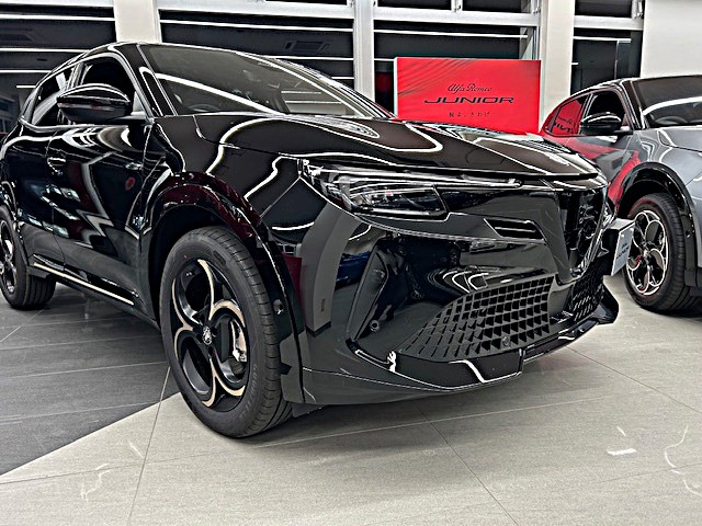 JUNIOR Ibrida INTENSA