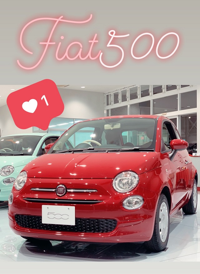 かわいい 500 フィアット アバルト天白スタッフブログ Fiat Abarth Official Dealer Site