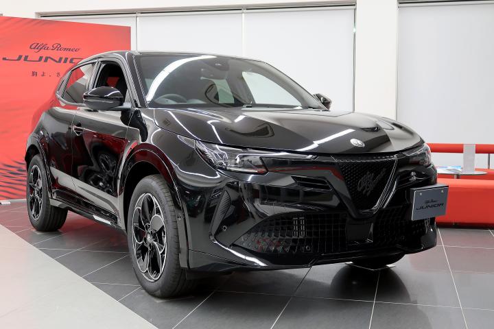 JUNIOR Ibrida PREMIUM