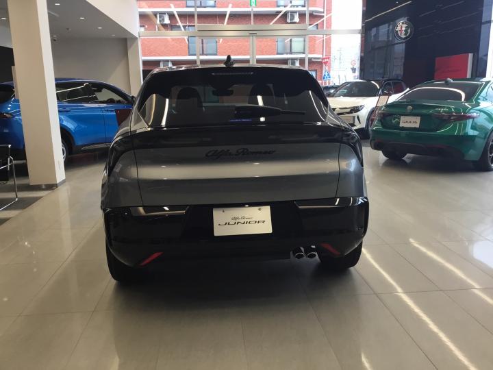 JUNIOR Ibrida PREMIUM