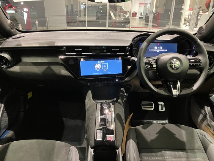 JUNIOR Ibrida INTENSA