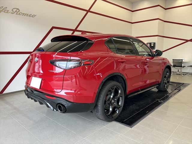 STELVIO 2.0 TURBO Q4 COMPETIZIONE