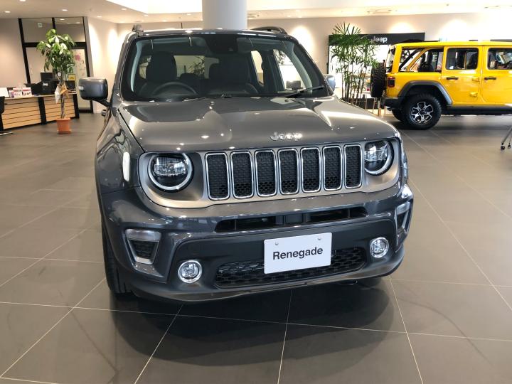 Renegade Limited