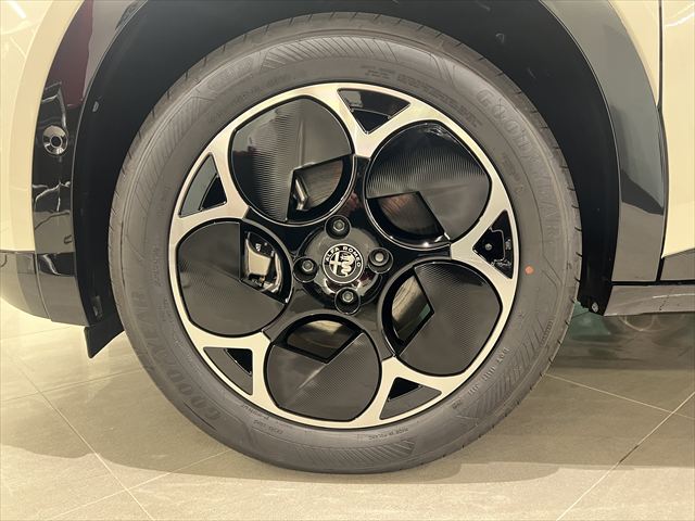 JUNIOR Ibrida Edizione Bianco