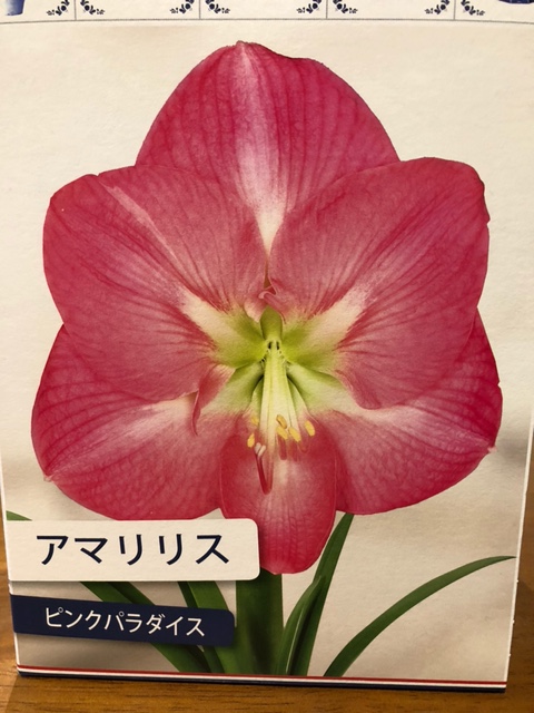 今年も頂きました フィアット アバルト横浜港南スタッフブログ Fiat Abarth Official Dealer Site