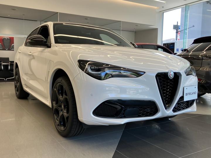 STELVIO TRIBUTO ITALIANO