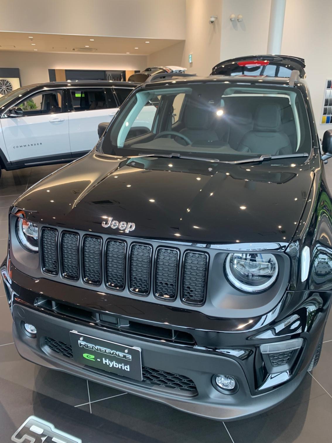 Renegade Altitude e-Hybrid