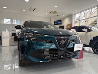 JUNIOR Ibrida PREMIUM