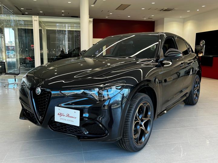 STELVIO 2.0 TURBO Q4 INTENSA