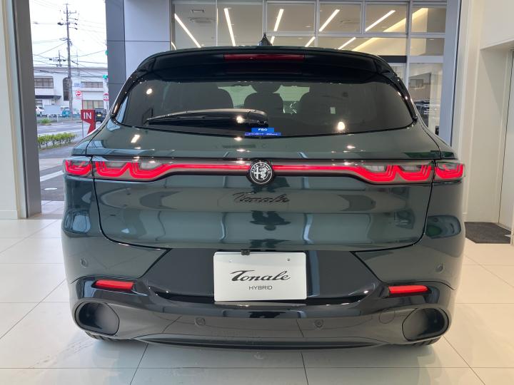 TONALE IBRIDA VELOCE