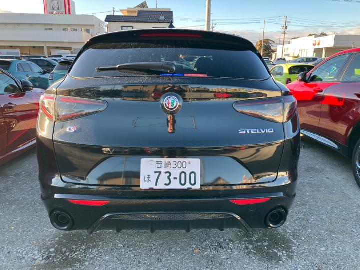 STELVIO 2.0 TURBO Q4 INTENSA