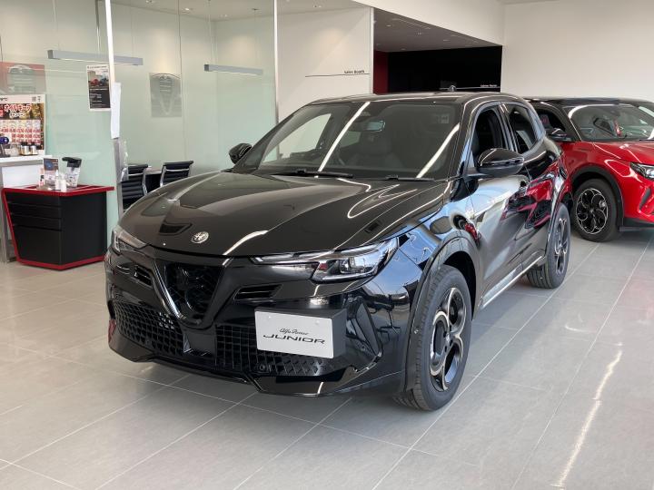 JUNIOR Ibrida INTENSA