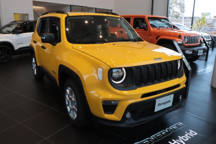 Renegade Altitude e-Hybrid