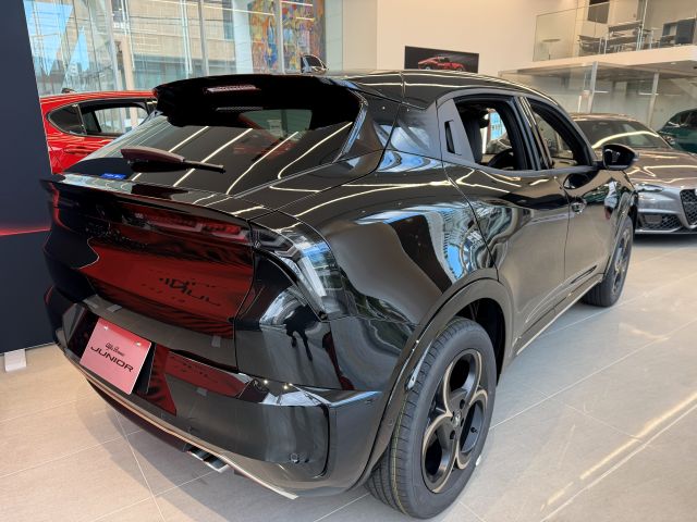 JUNIOR Ibrida INTENSA