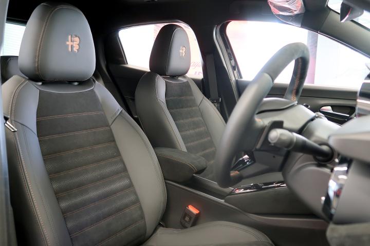 JUNIOR Ibrida INTENSA