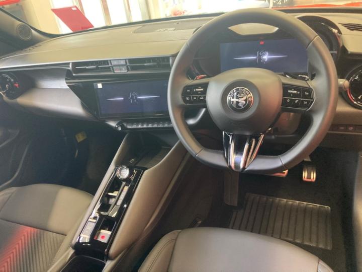 JUNIOR Ibrida PREMIUM