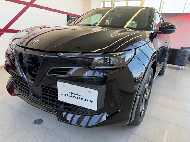 JUNIOR Ibrida INTENSA